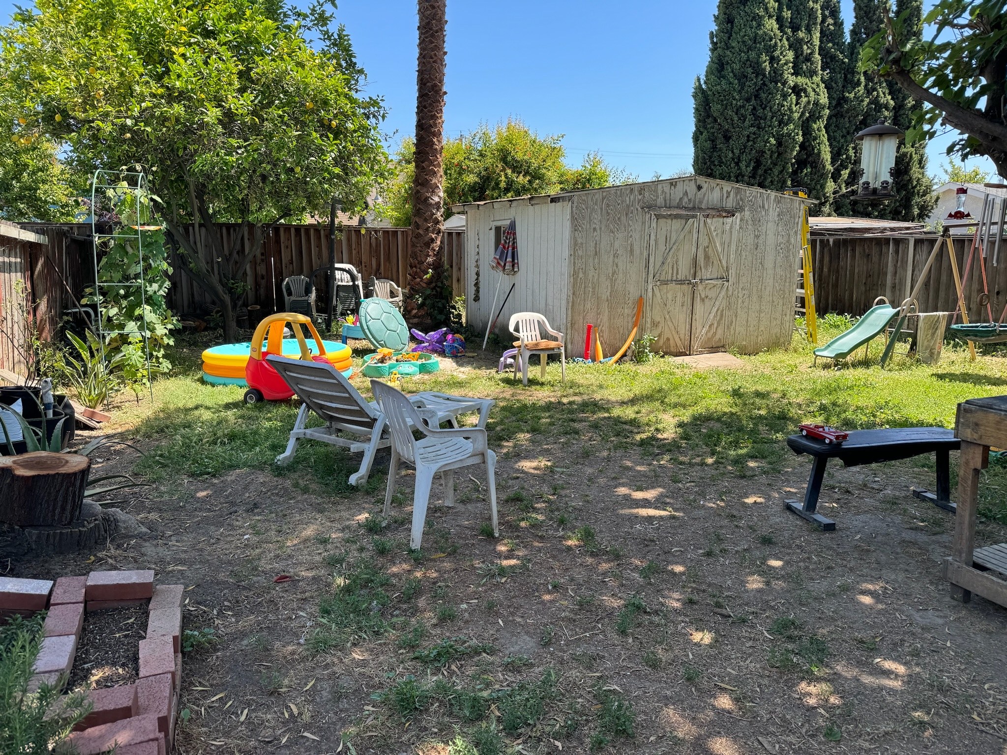 Before: Backyard — The Calico House, San Jose CA