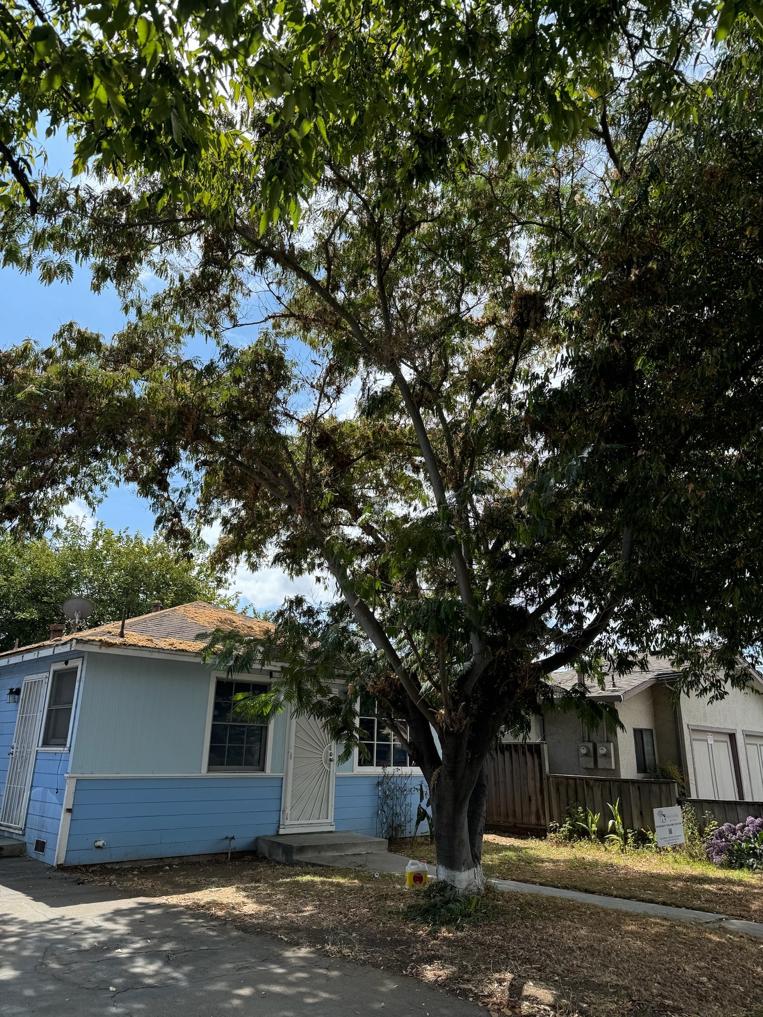 Before: Exterior — The Calico House, Whitton Ave San Jose CA
