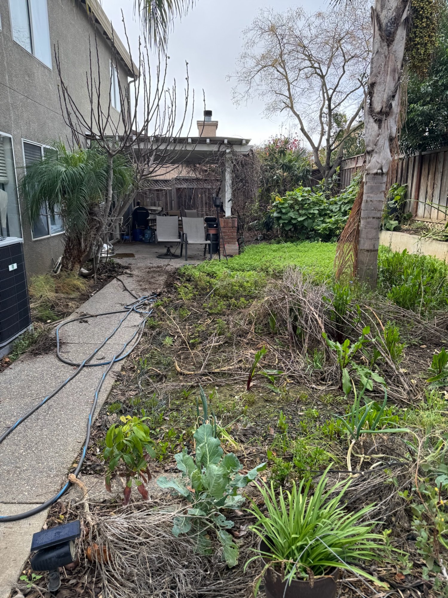 Before: The Garlic House