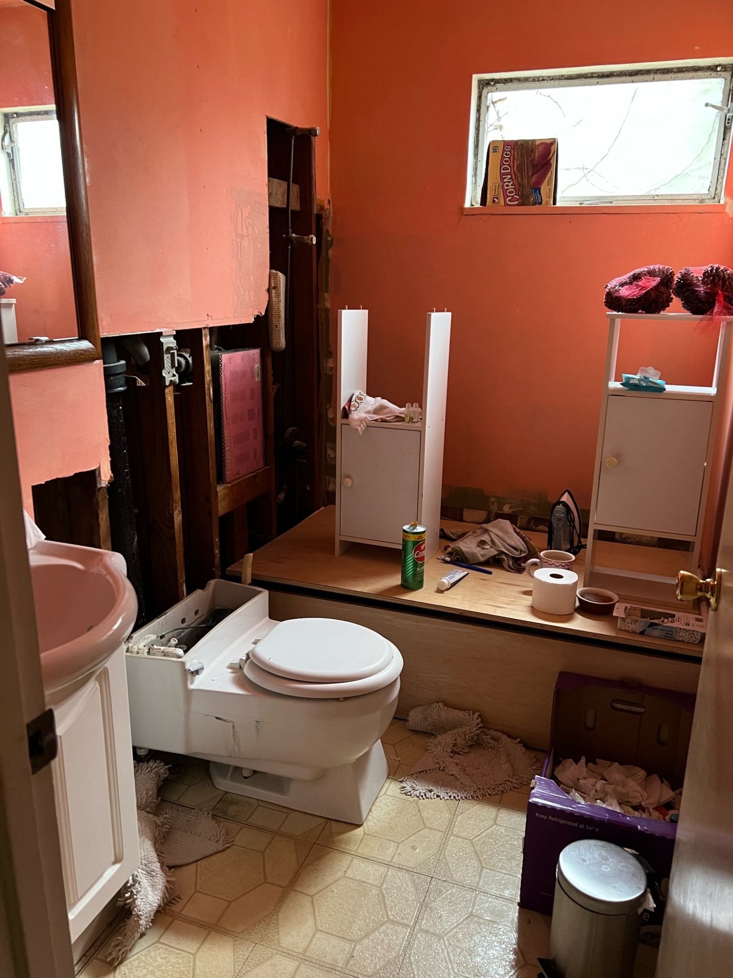 Before: Primary bath — Hoarder Home, San Bruno CA