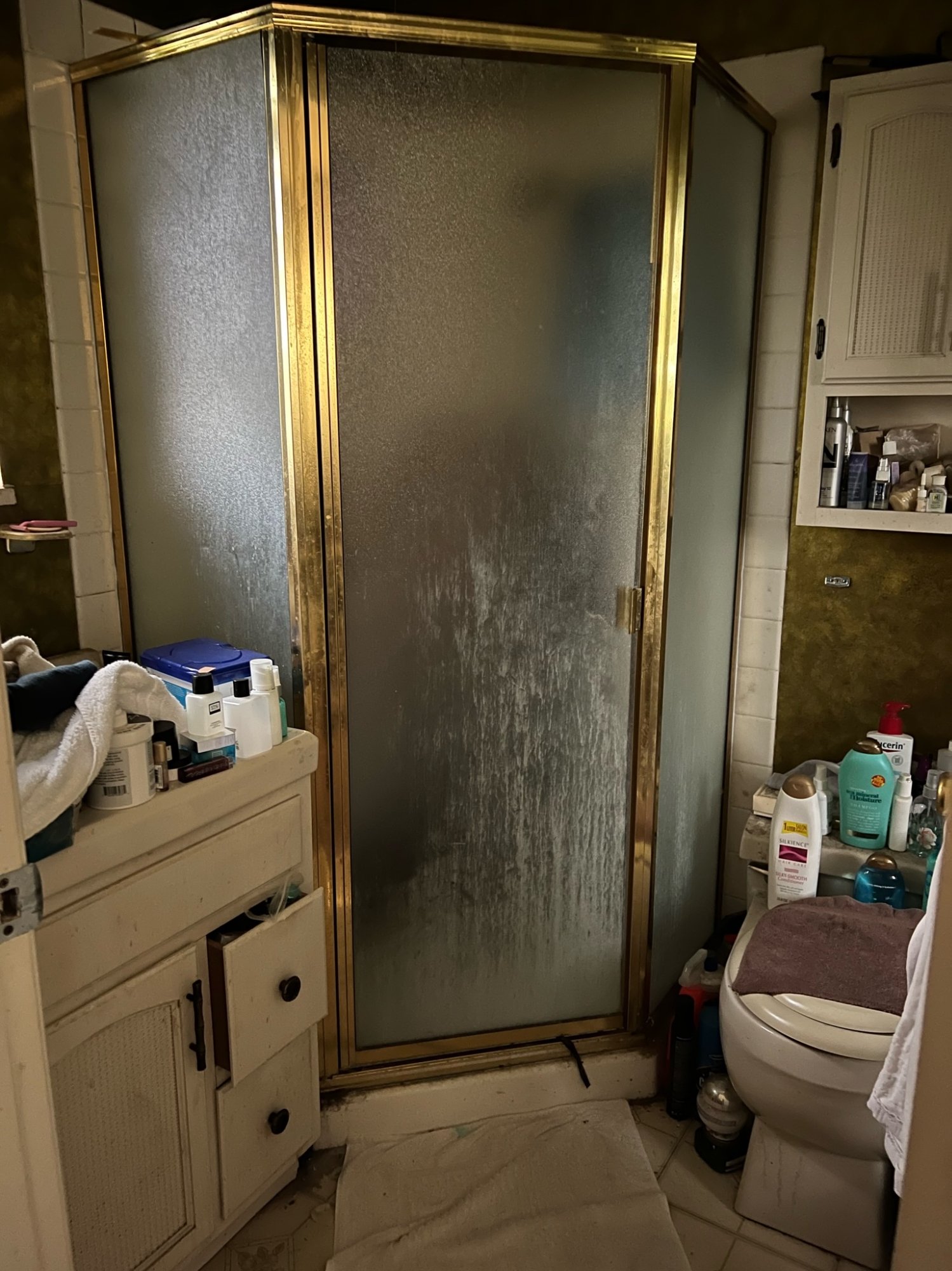 Before: Hall bath — Hoarder Home, San Bruno CA