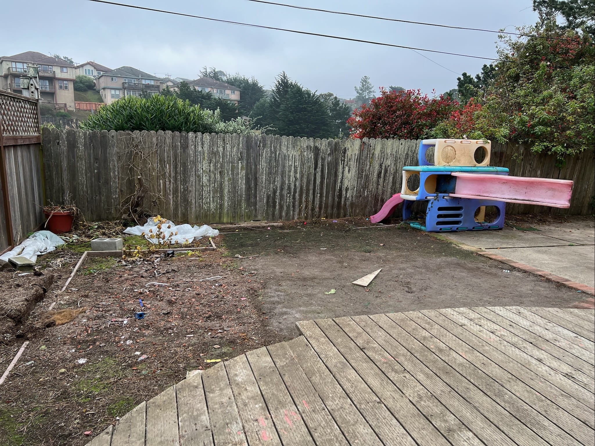 Before: Backyard — Mason's House, San Bruno CA