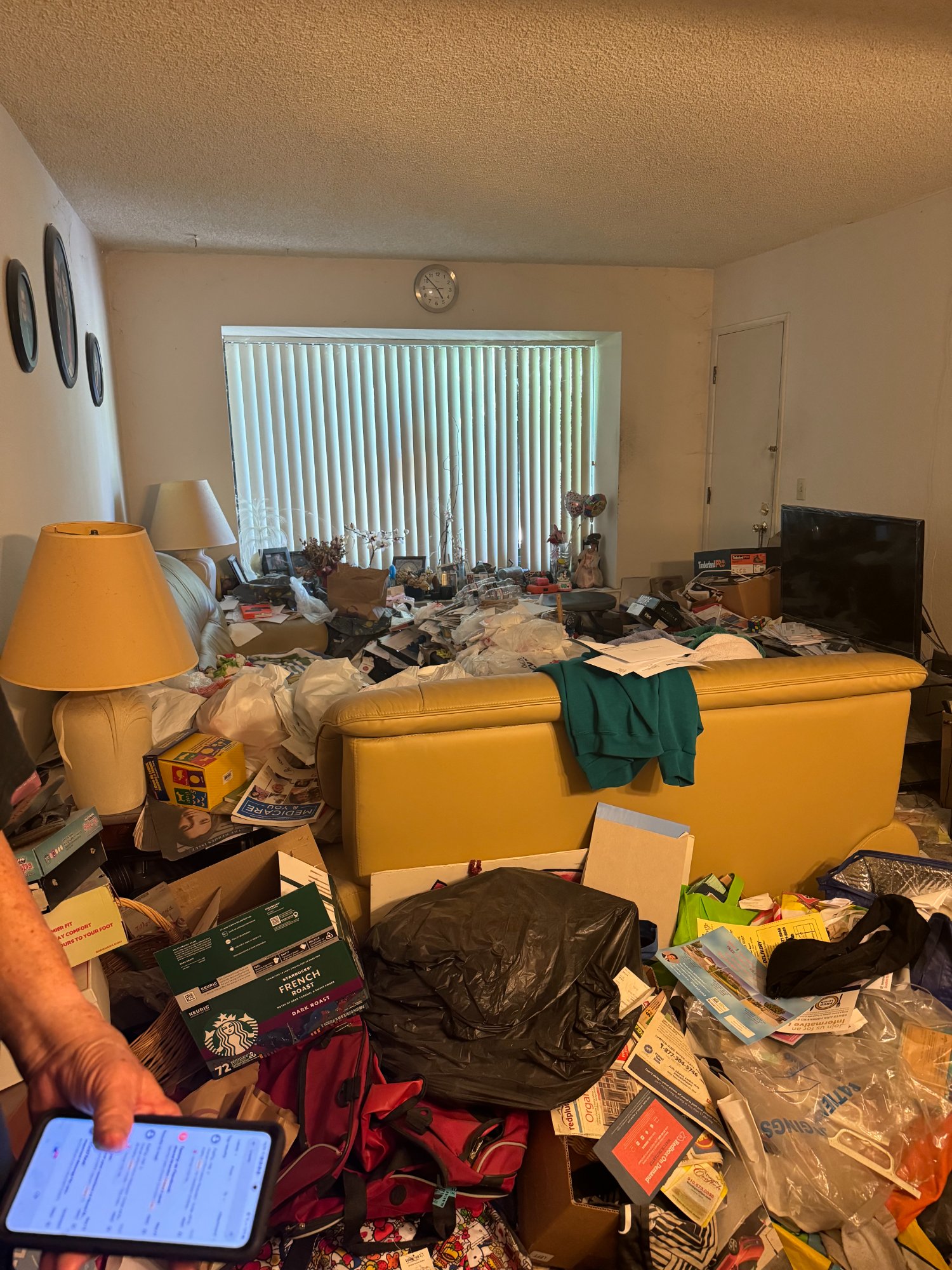 Before: Living room — Pack Rat Condo, Milton Ter Fremont CA