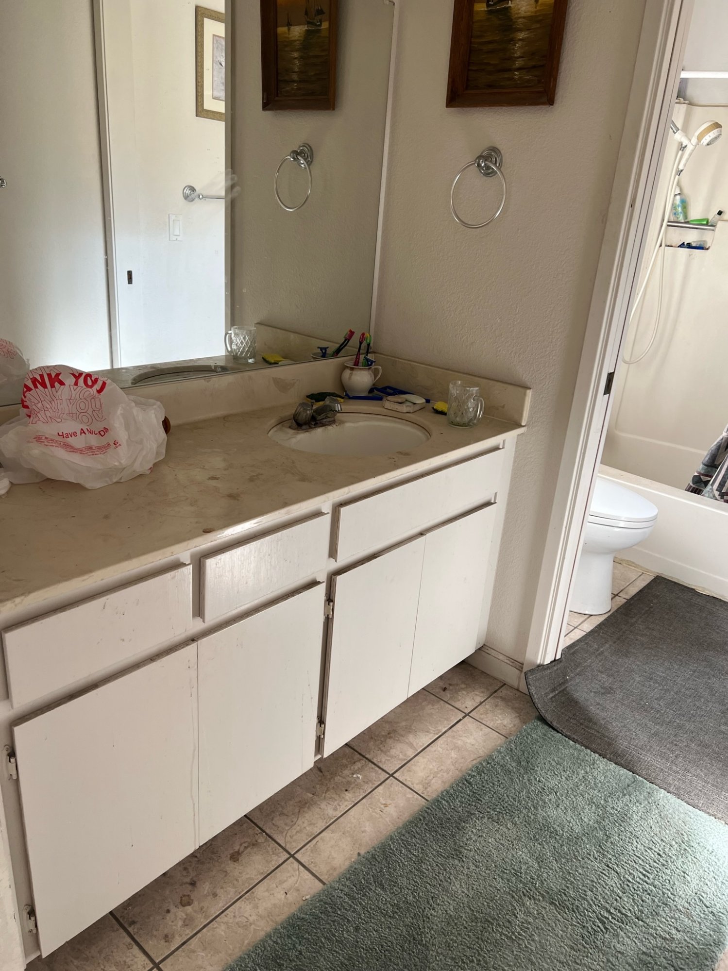 Before: Hall bathroom — Potty House, Morgan Hill CA