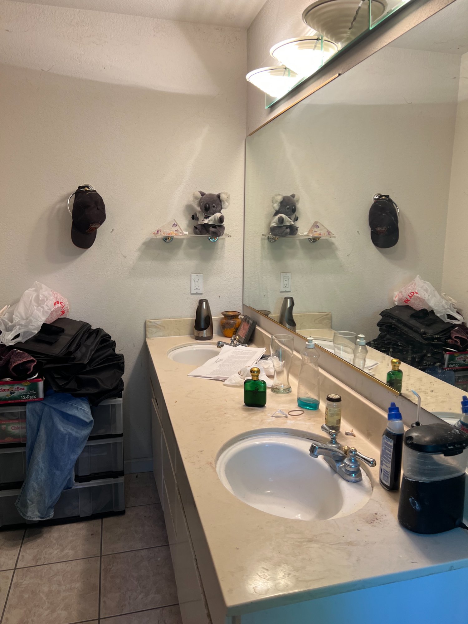 Before: Primary bathroom — Potty House, Morgan Hill CA