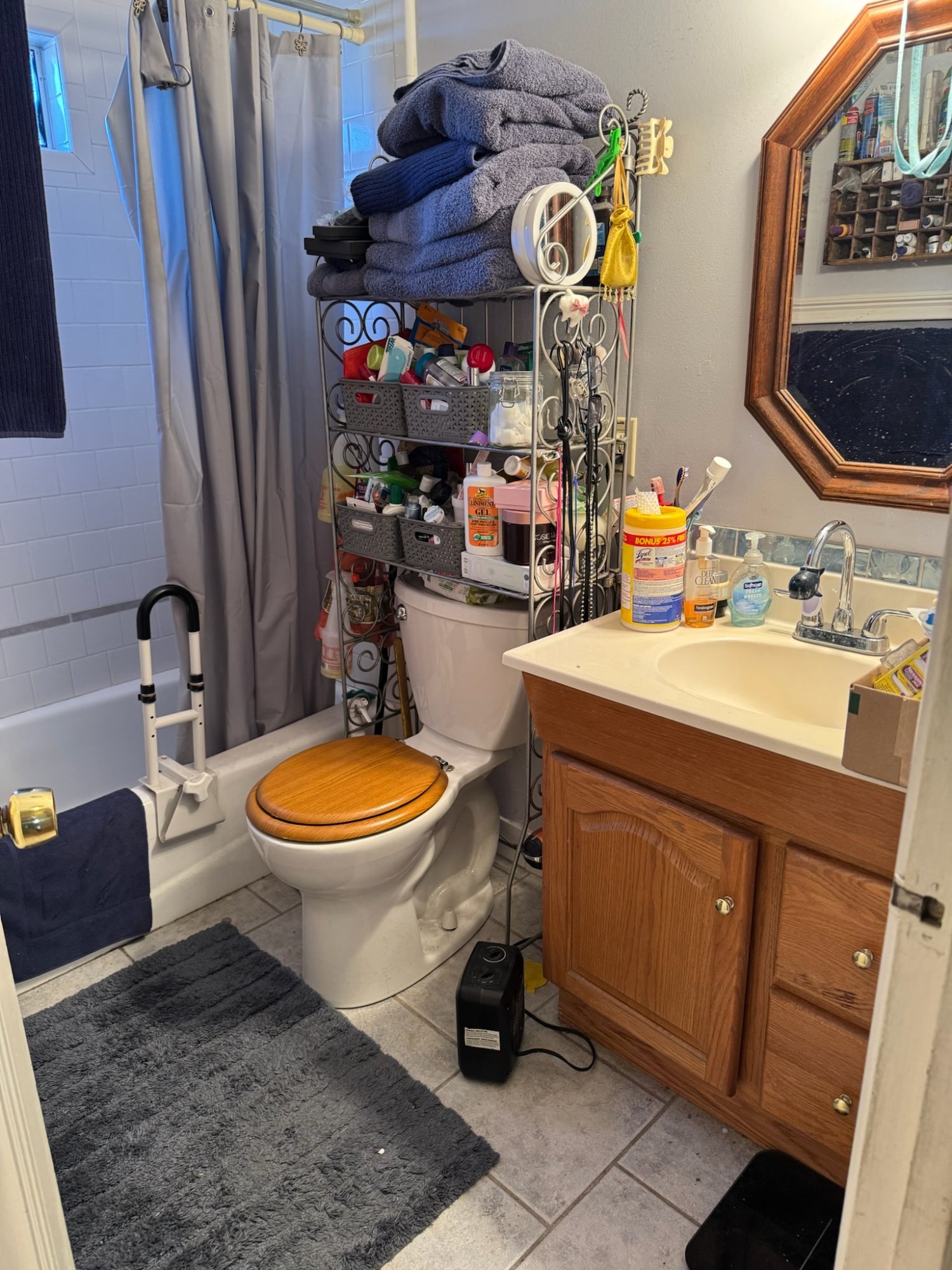 Before: Bathroom 2 — Secret Garden, Sunnyvale CA